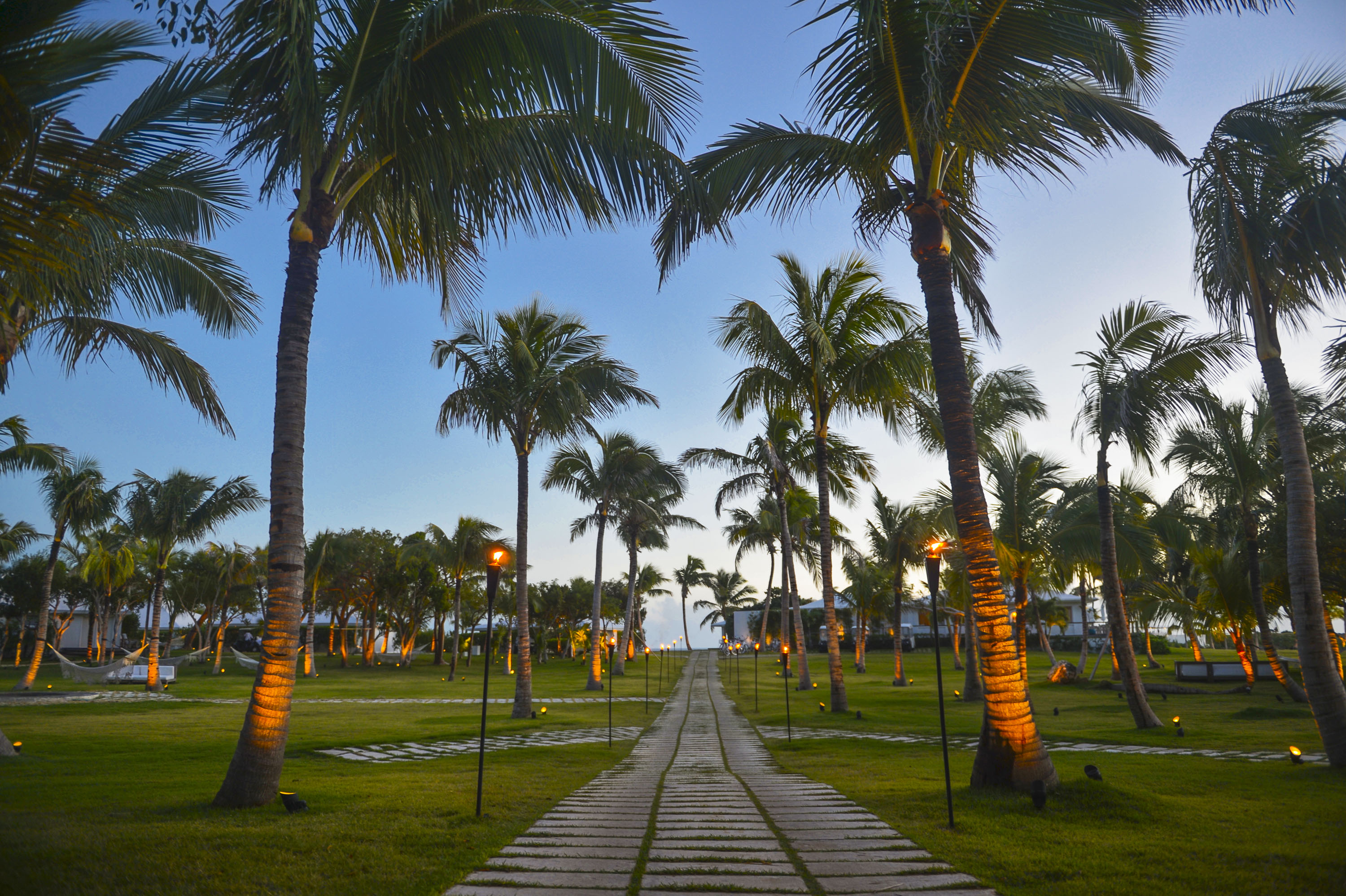 The Cove Grounds