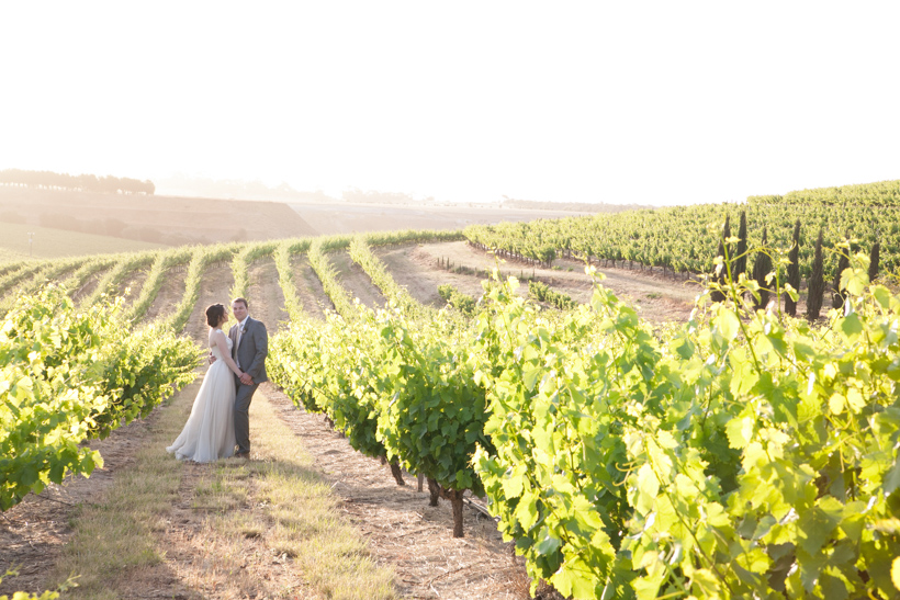 The original vineyards were planted immediately after the first world war.