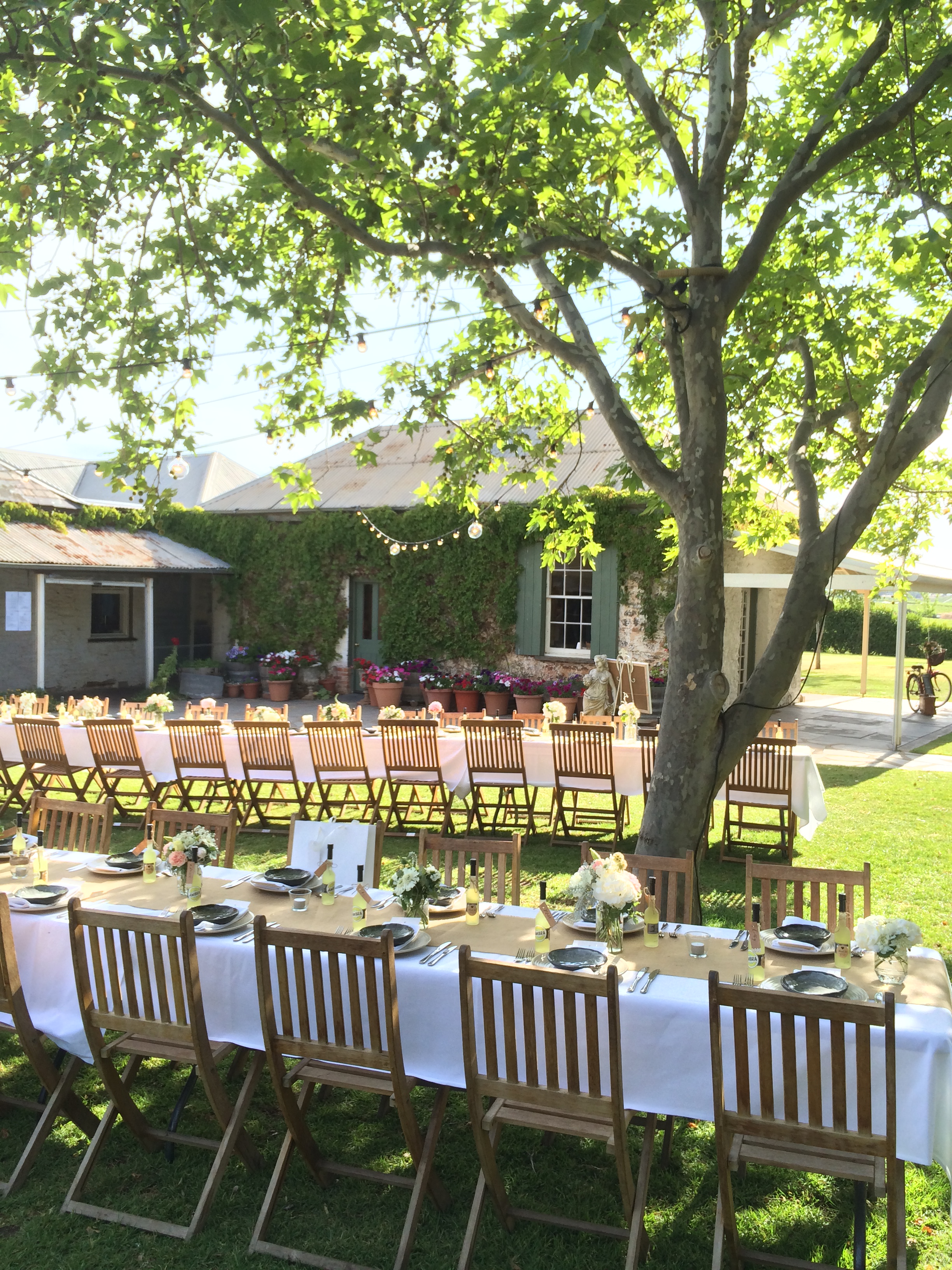 Dinner under the stars.