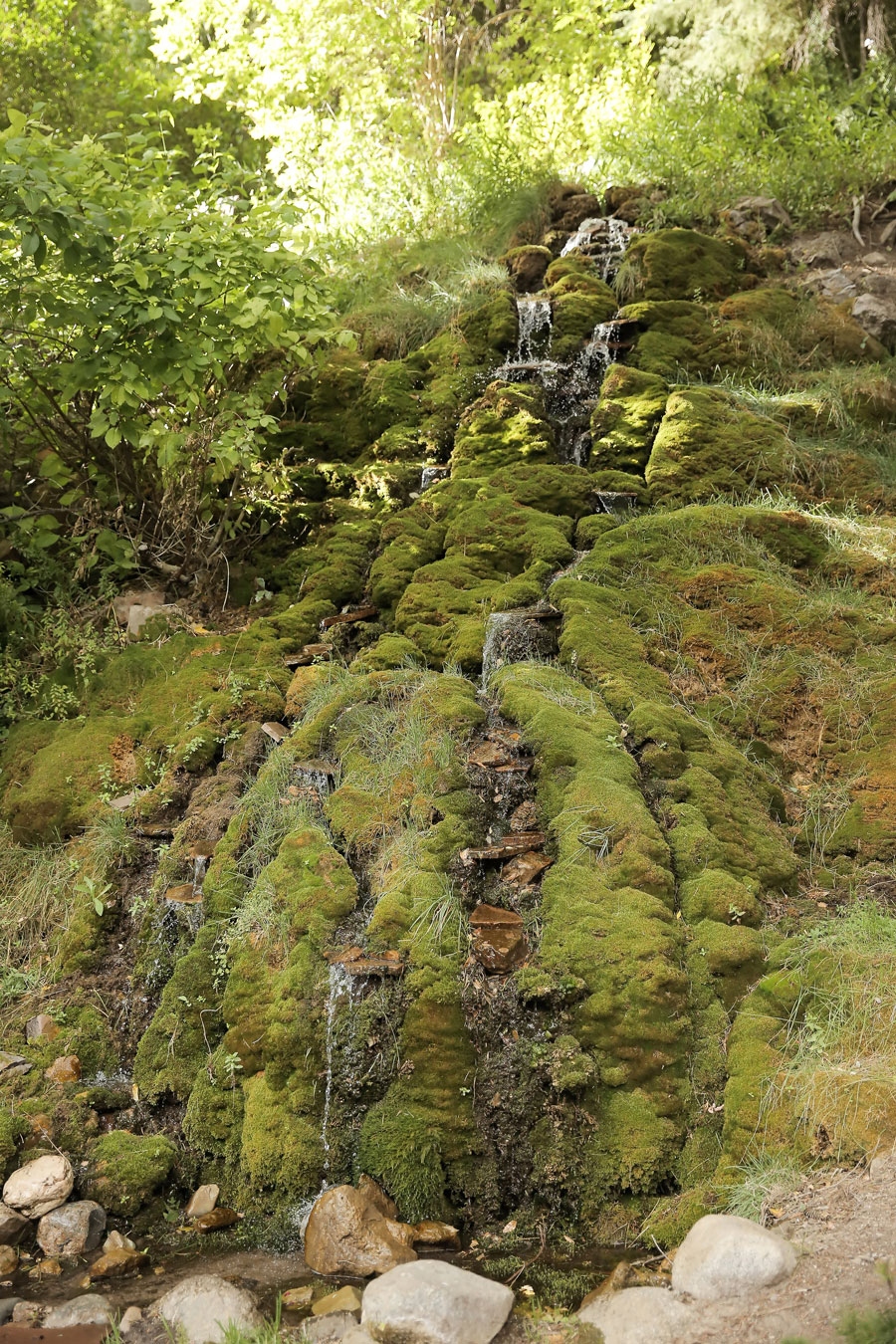 Waterfall Patio