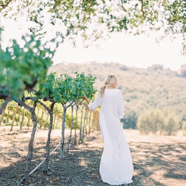 Vineyards