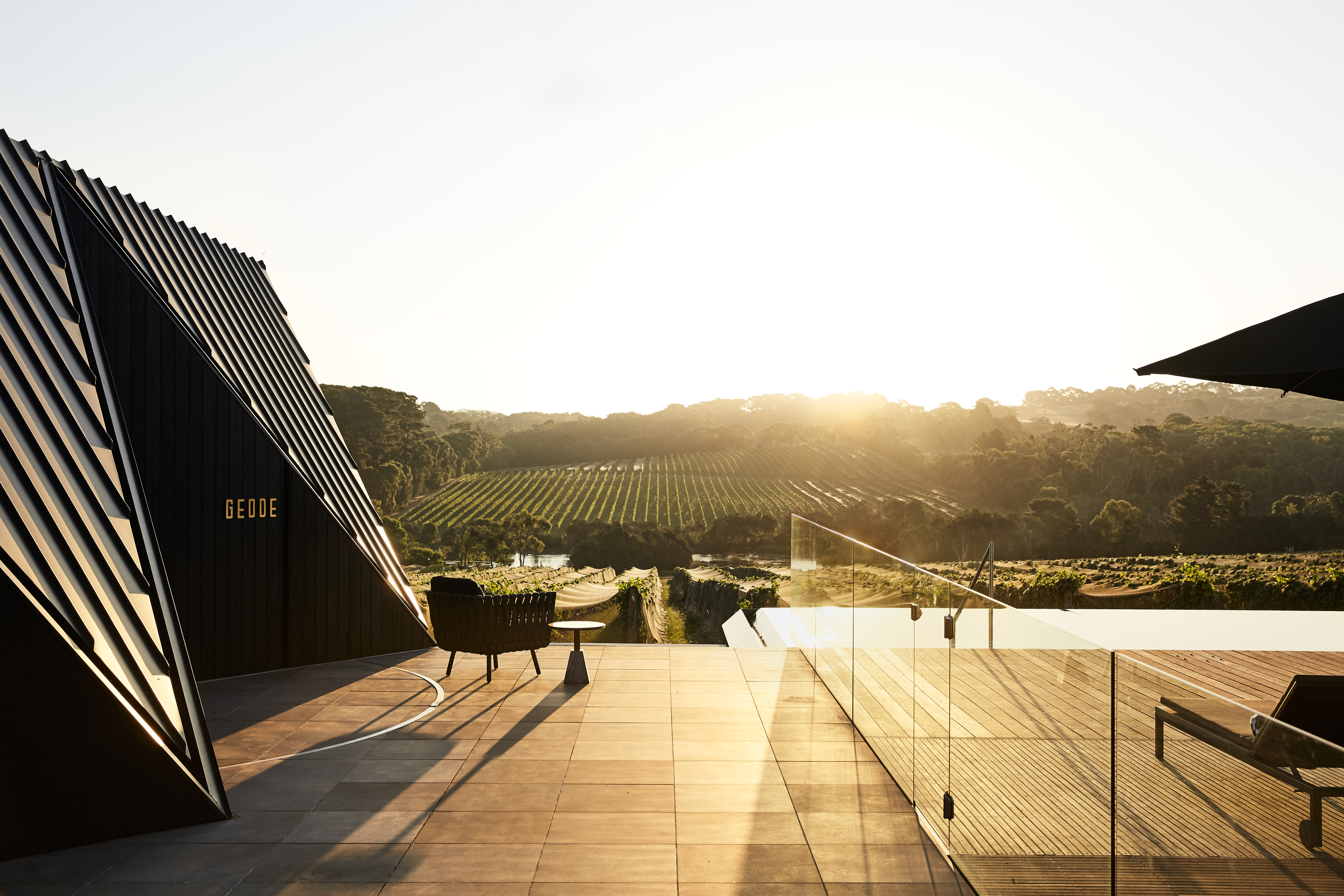 Jackalope Vineyard