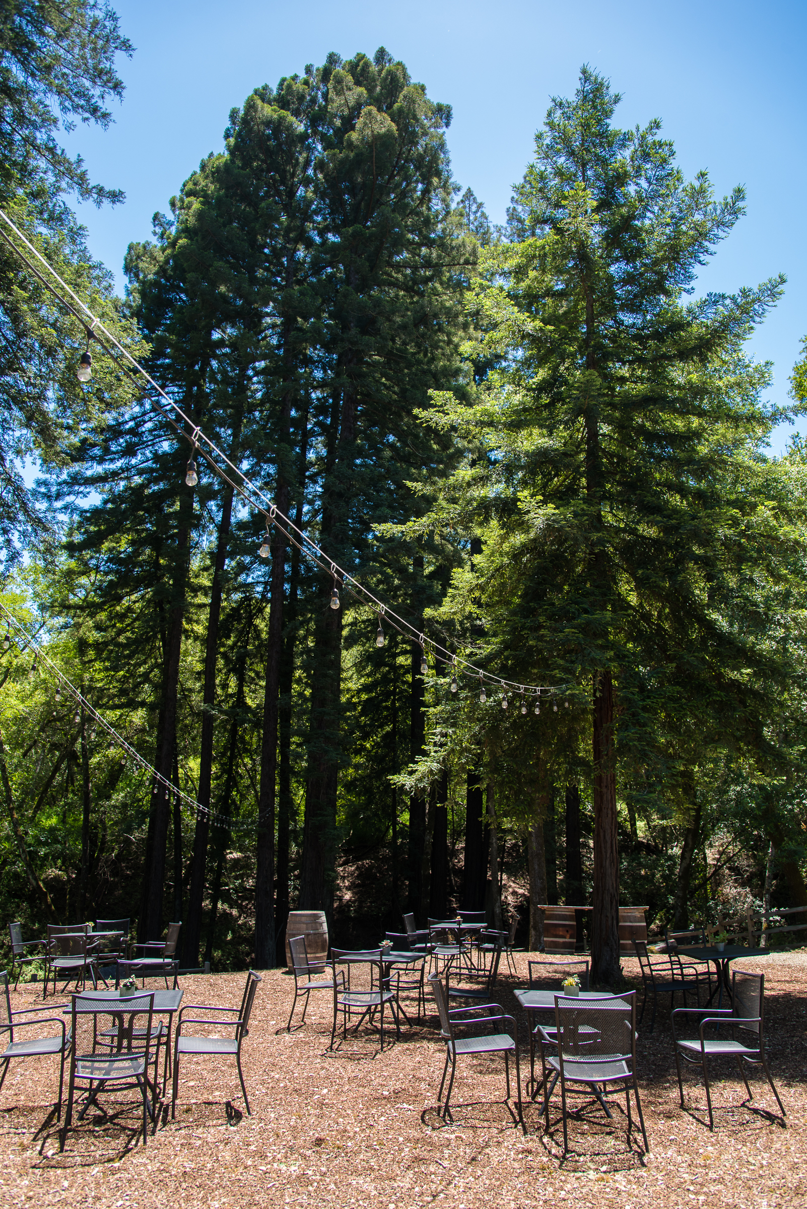 The upper grove for "cocktail hour"