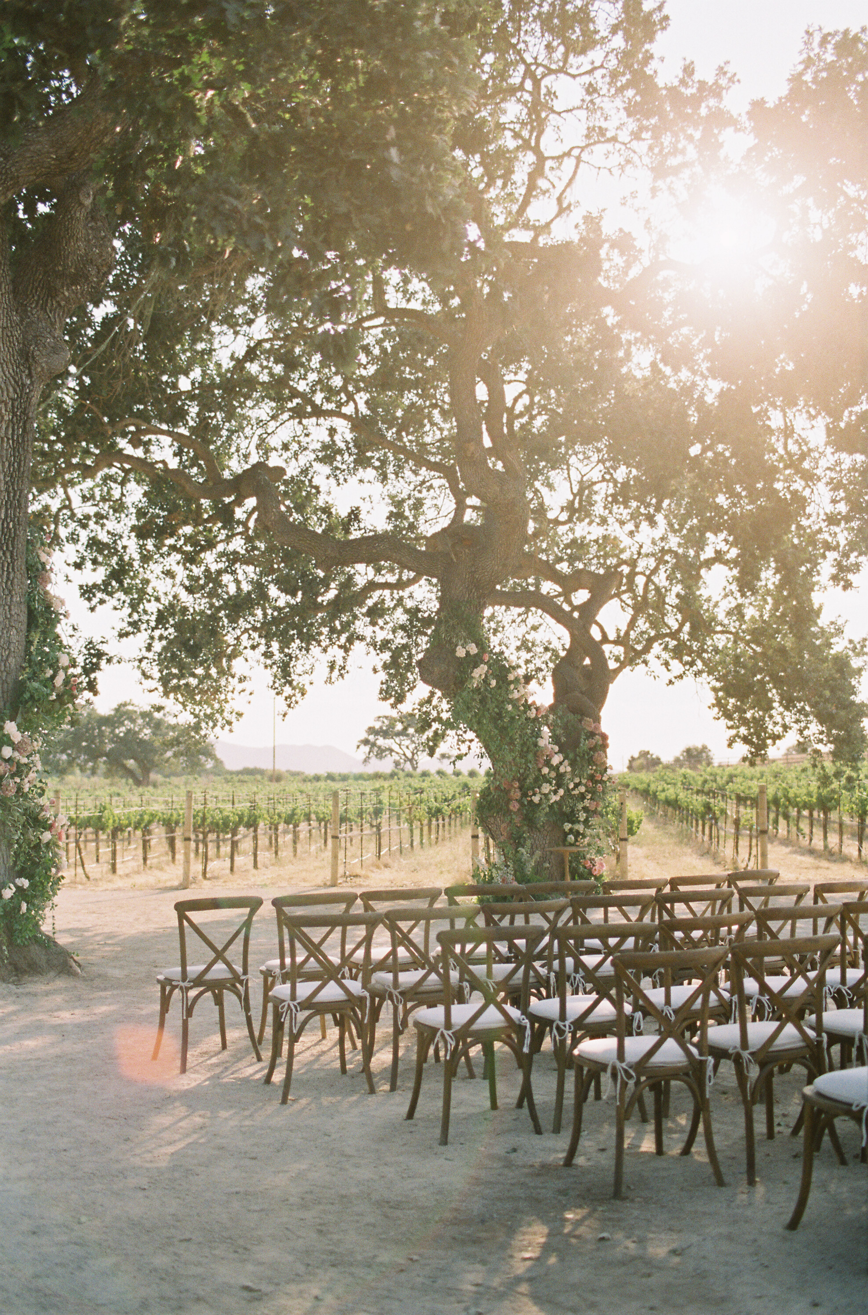 Wedding by Davia Lee