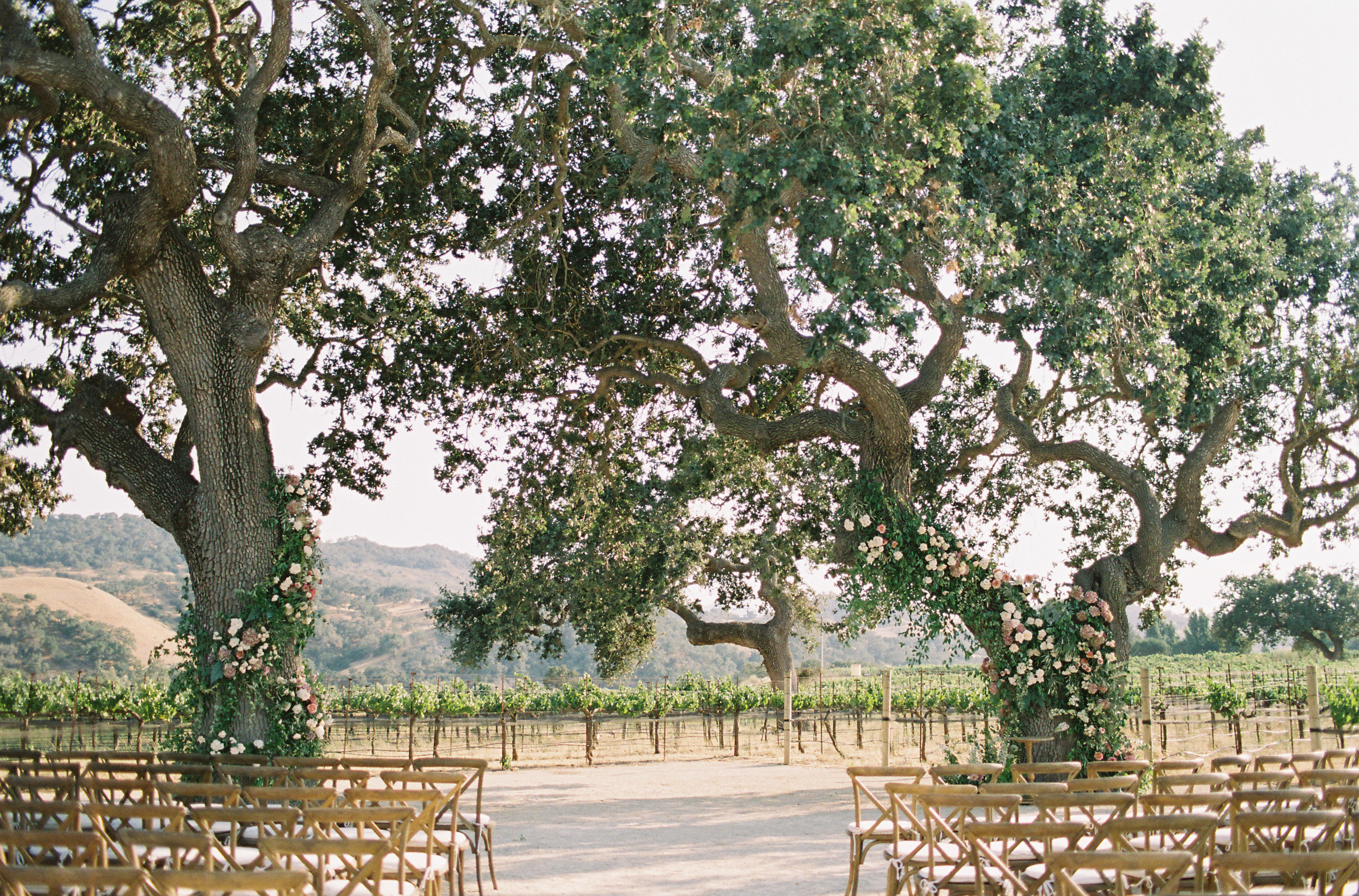 Wedding Ceremony at West Oak Ceremony site