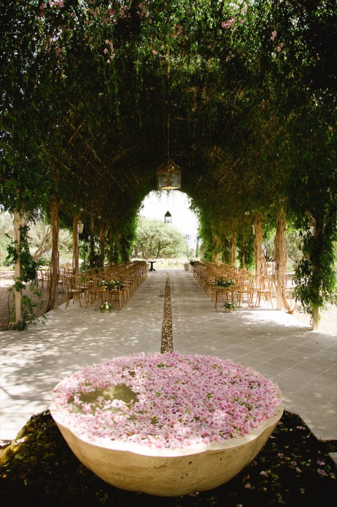 Hummingbird gardens