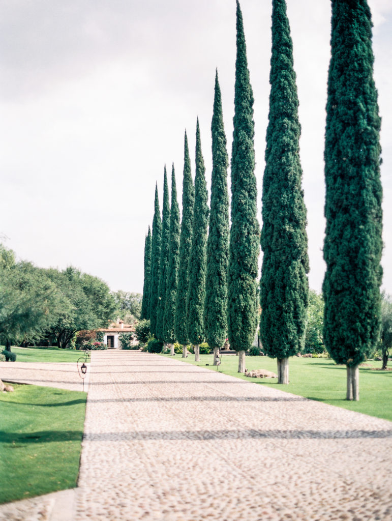 Cobblestone roads