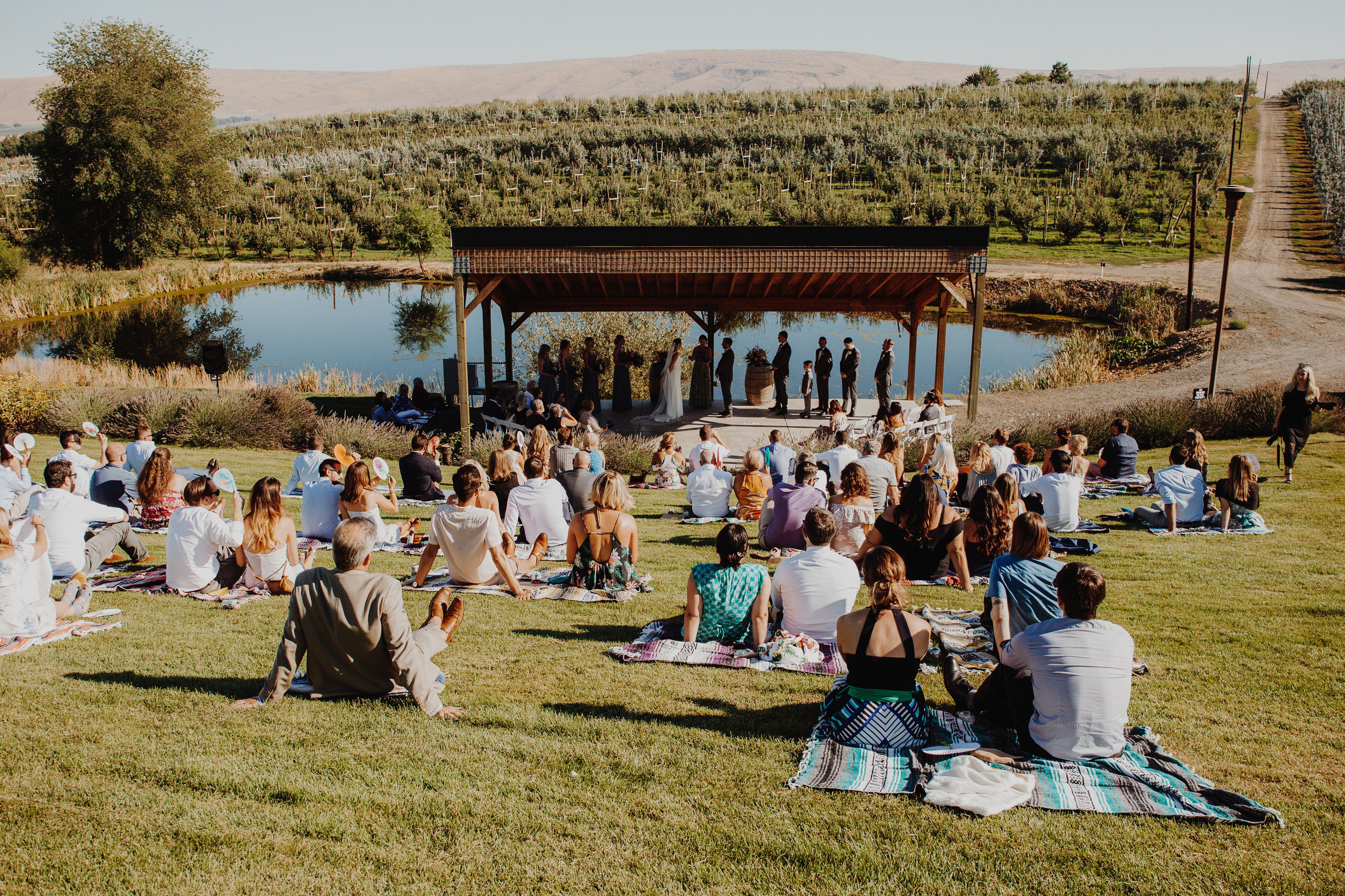 Nuptials in the Amphitheater.