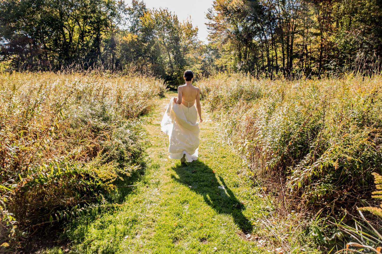 Meadow