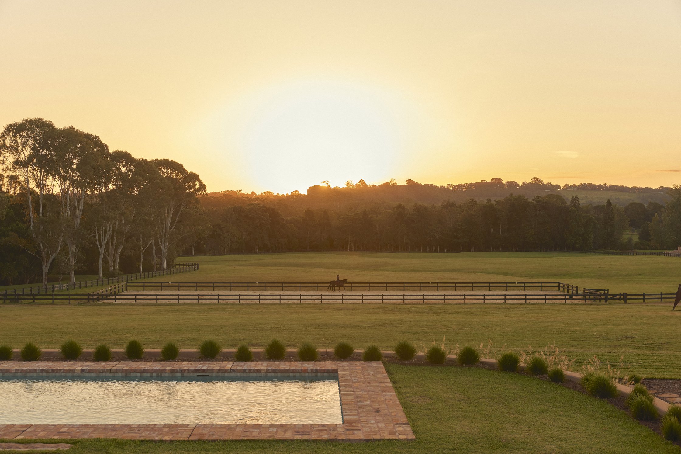 The Dressage Arena