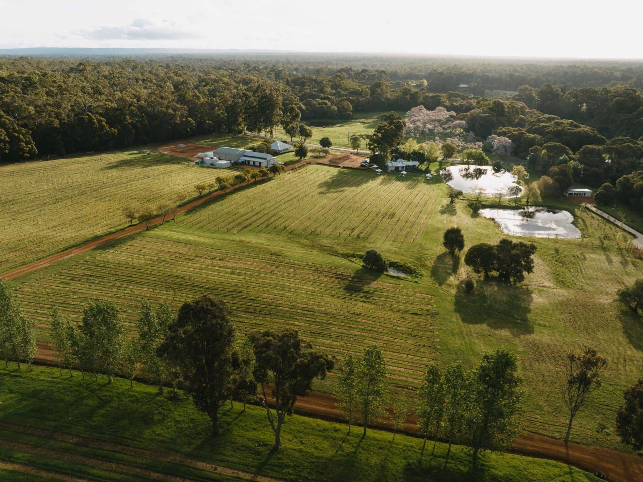 Discover the enchantment of Ampersand Estates, nestled in the heart of Western Australia’s South West—a region renowned for its raw natural beauty, captivating landscapes, and burgeoning viticulture. At Ampersand, we invite you to immerse yourself in an e