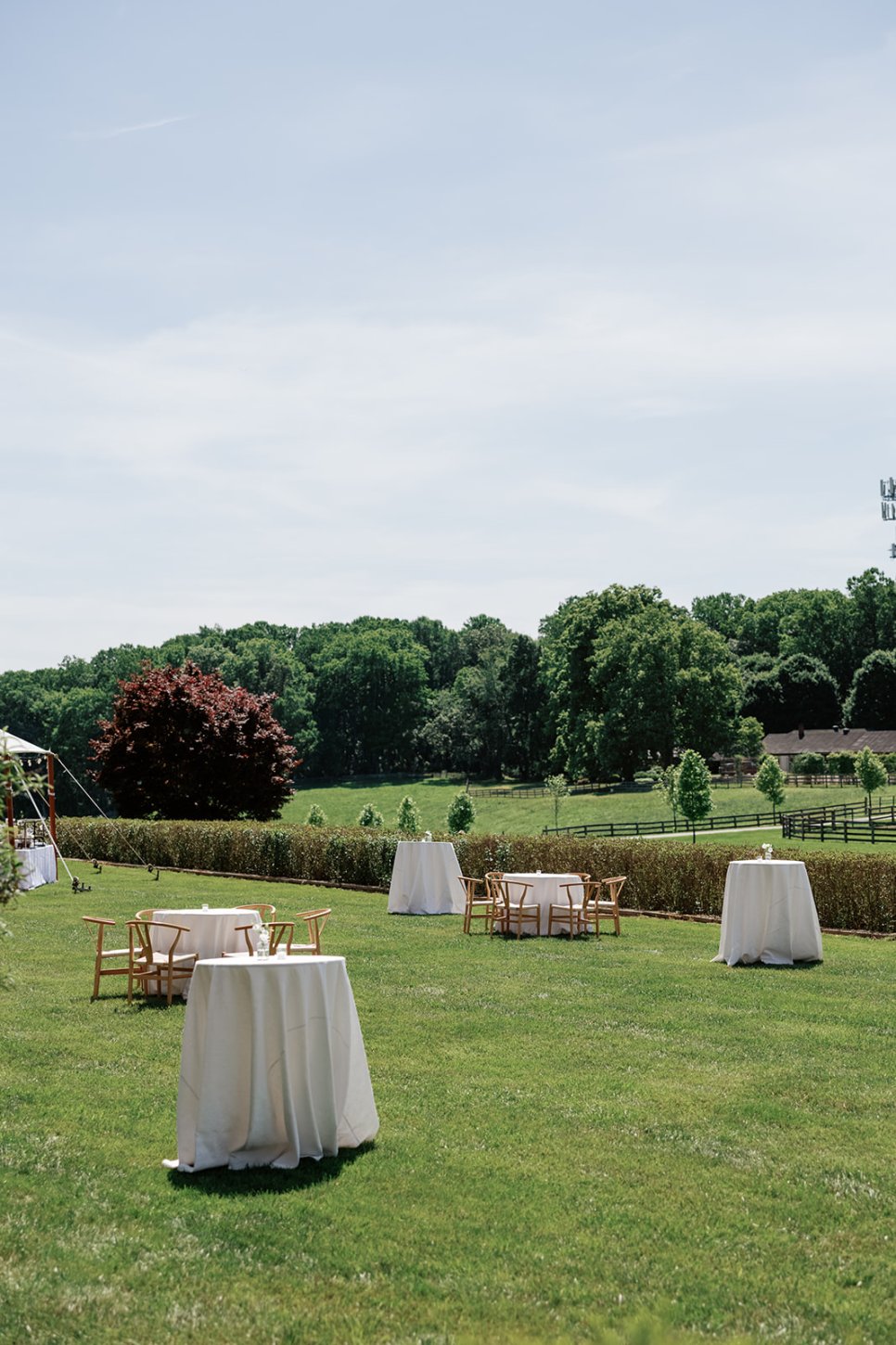 Cocktails on the Lawn