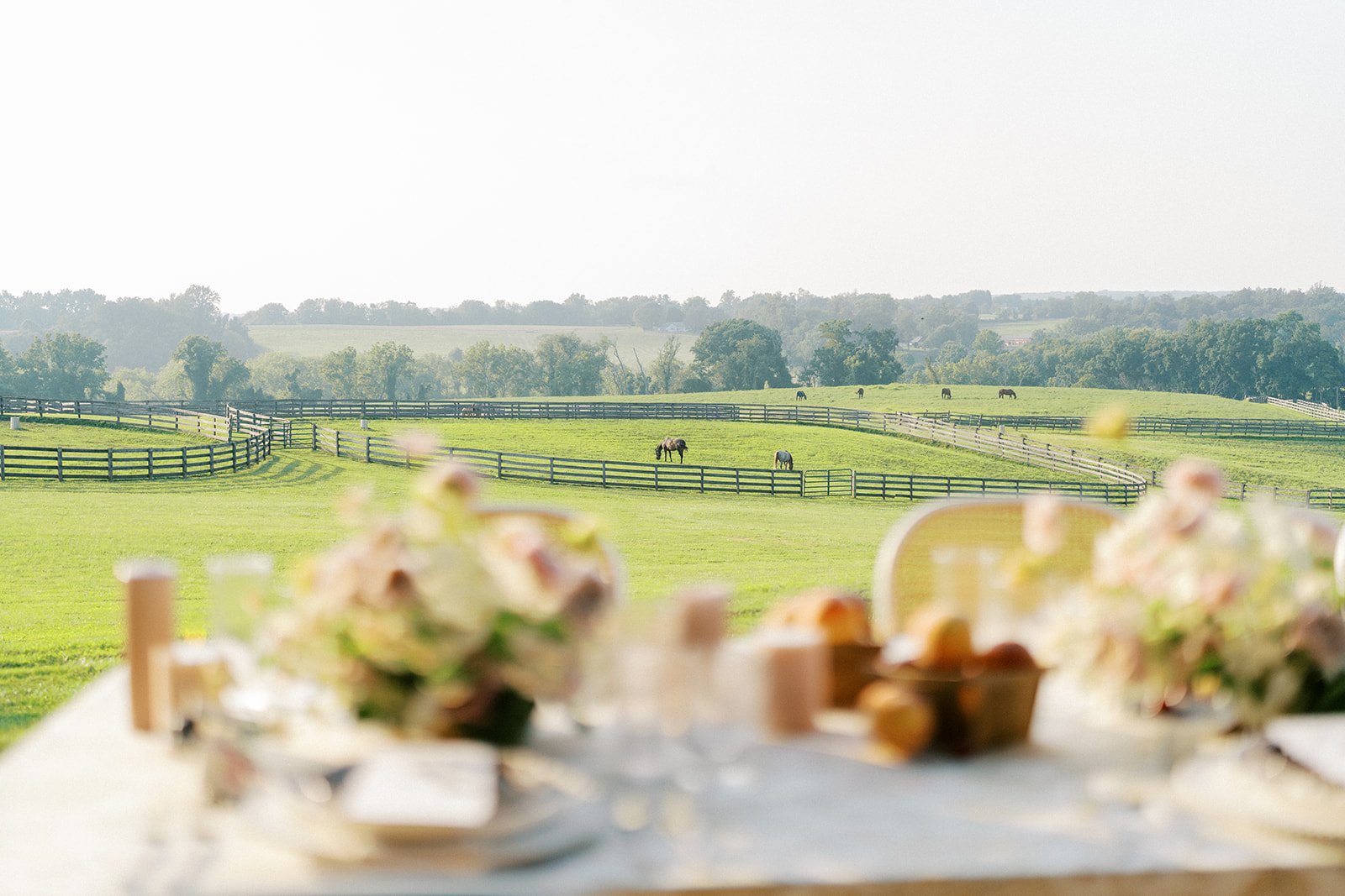 A reception setting surrounded by the pastoral countryside.