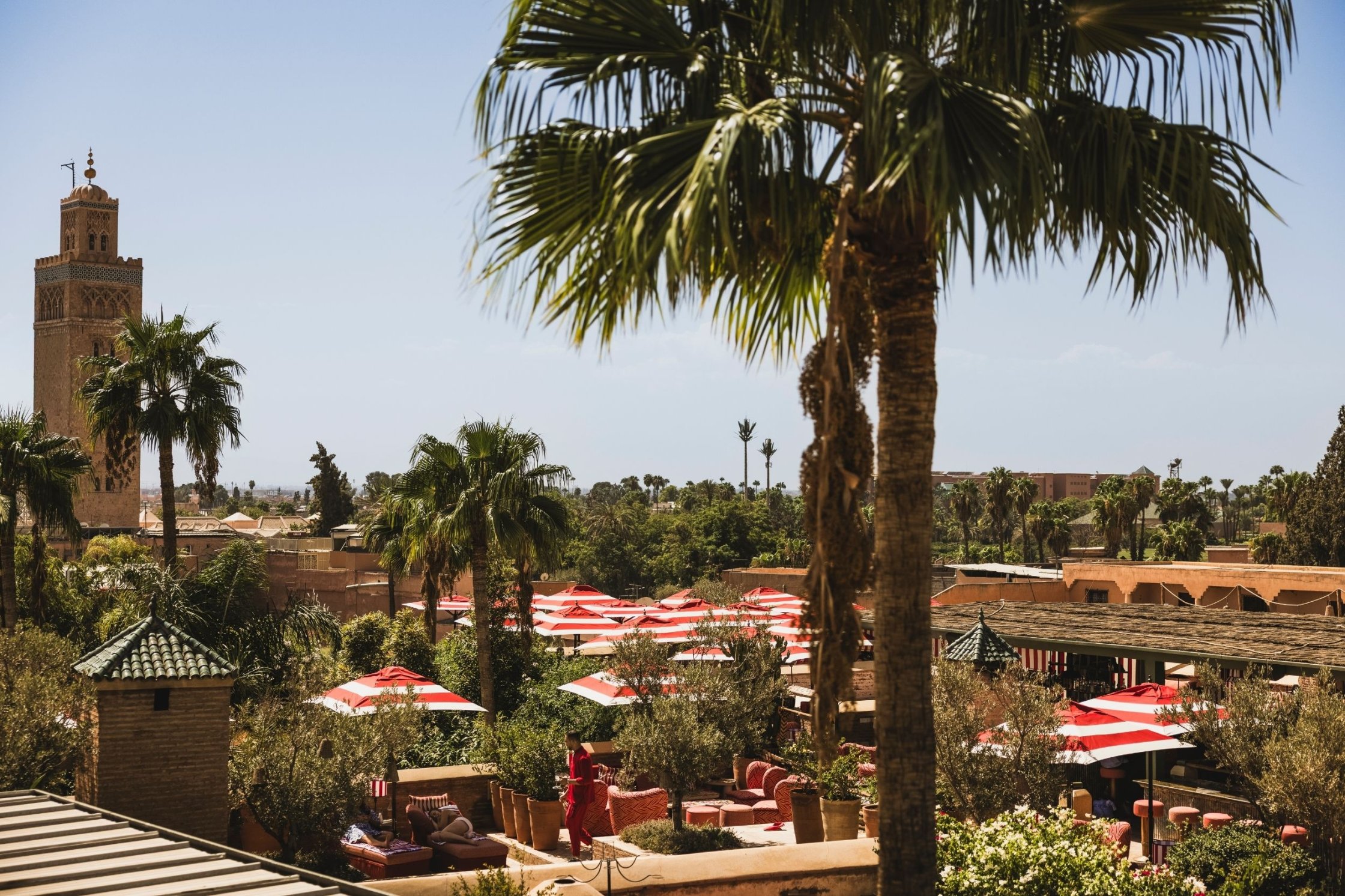 Rooftop views across Marrakech, with the Koutoubia and Atlas Mountains in the distance