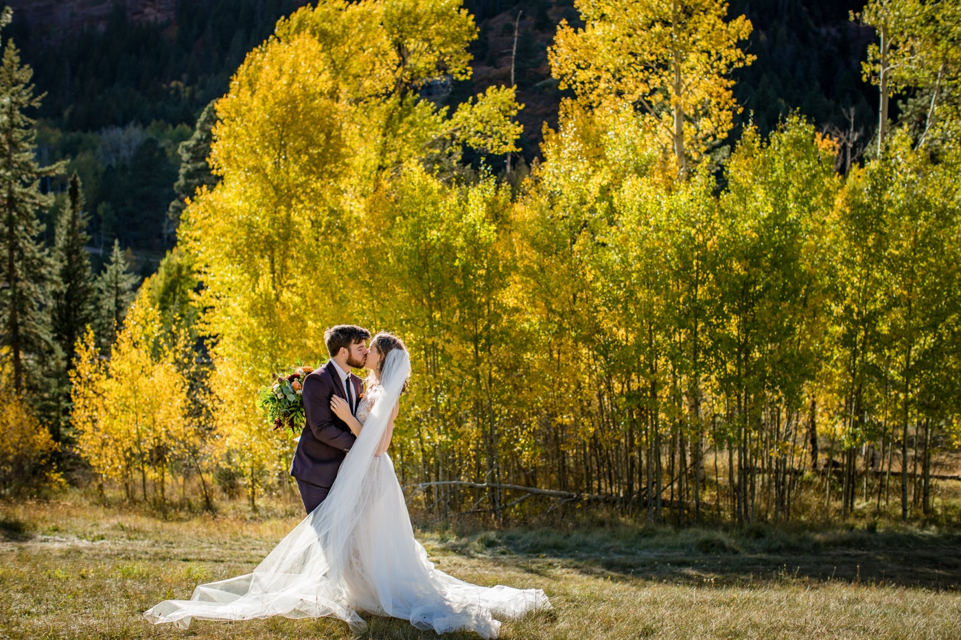 Fall colors