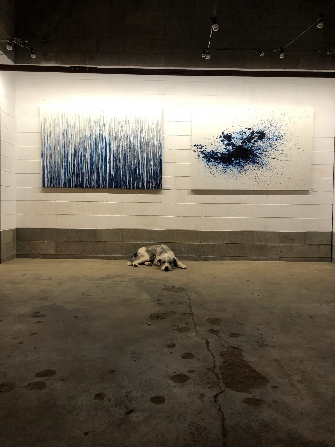 Art Exhibition