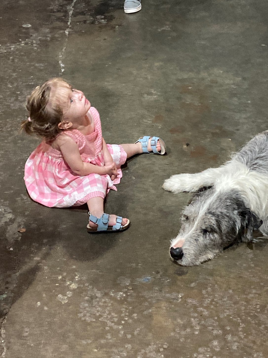 Children and Pet Friendly